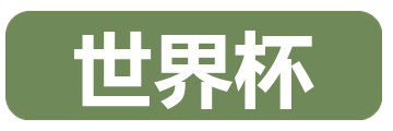 世界杯